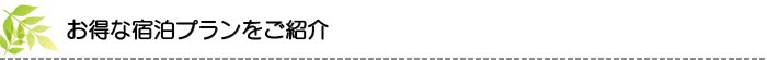 お得な宿泊プランをご紹介 お得な宿泊プランをご紹介